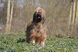 BRIARD 095